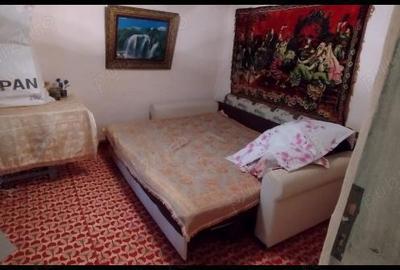 Casă cu 2 camere cu Teren 2000 Mp în Axintele - 10