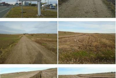 Teren Extravilan Arabil Ghimpati, ID: R1964858 - 6