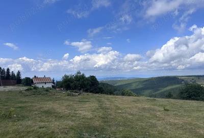 Teren de 1550 mp, în Central - 7
