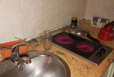 Garsoniera et 4 din uscatorie 14mp cartierul Nufarul linga ?coala Ghibu - 3