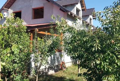 Vand casa la iesirea din Timisoara - 4