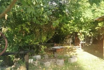 Teren in Contesti, Dambovita - 7