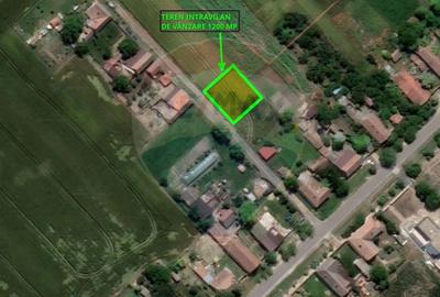 Teren de 1200 mp, în Iratoșu - 4
