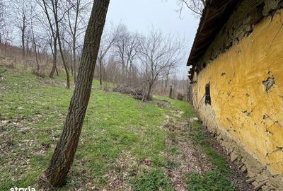 Teren de 2038 mp, în Ghercești - 3