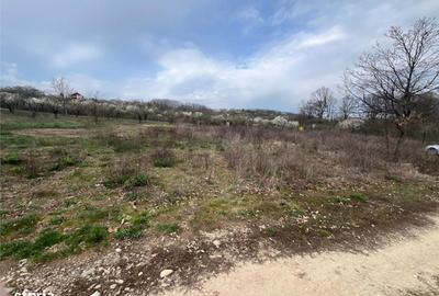 Teren de 600 mp, în Iorga - 4