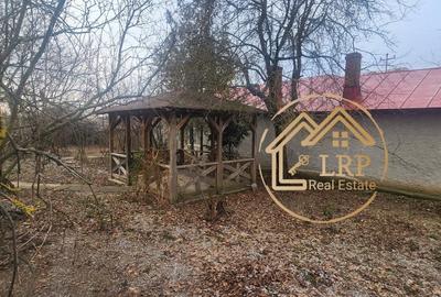 Uzunu Calugareni DN5/E85 -casa, anexe, intravilan 10.488mp, utilitati - 14