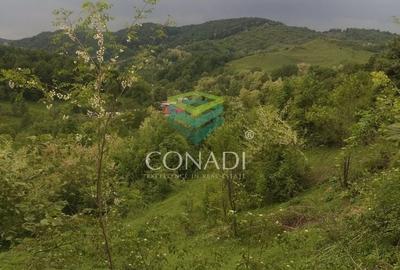 Teren Construcții intravilan de 800 mp, în Exterior Vest - 8