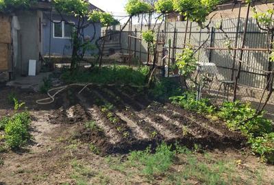 Casa batraneasca de vanzare Casa batraneasca de vanzare - 4