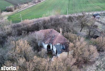 Teren de 11600 mp, în Ceuaș - 3