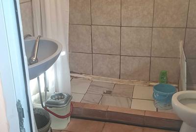 Apartament în Plantelor - 4