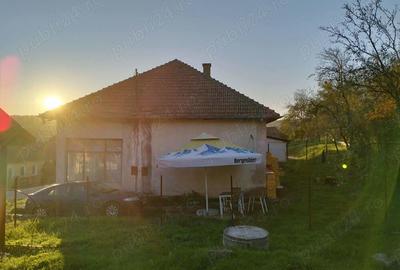 Vand cladire - 1