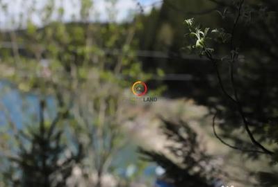 Teren de 50000 mp, în Pietroșița - 6