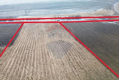 Teren pentru cabana 7.000mp in Hoghilag, Taramul Tubero... - 4