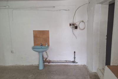 Spațiu comercial, de 110 mp, în Lotrioara - 1