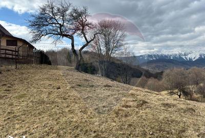 Teren de 3784 mp, în Fundata