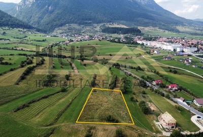 Teren de Vanzare Zarnesti | Utilitati | 3700mp - 1
