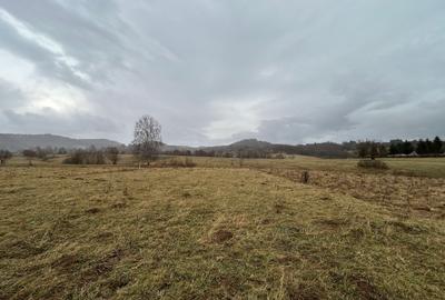 Teren Construcții extravilan de 3171 mp, în Vama Buzăului - 6