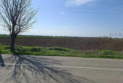 Spațiu comercial, în Căldărușeanca - 2