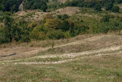 Teren de 6200 mp, în Viperești - 2
