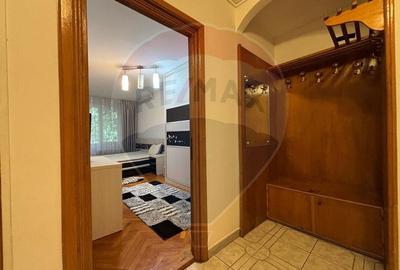 4 camere de vanzare TEIUL DOAMNEI zona verde-linistita, bloc anvelopat - 17