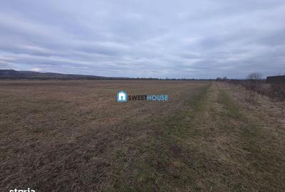 Teren de 20200 mp, în Central