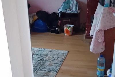 Casă cu Teren 3900 Mp în Uda - 4