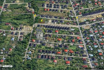 Spațiu comercial, în Valea Lupului - 2