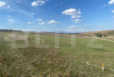 Oportunitate unica-teren intravilan de vanzare - 2