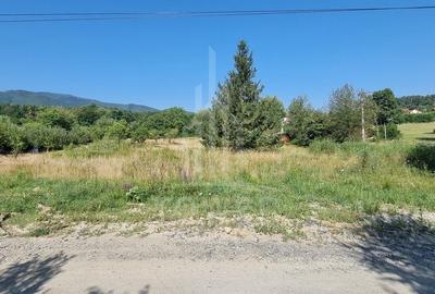 Teren agricol intravilan de 3998 mp, în Sadu