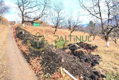 Teren 1960  mp Sibiu,  Cetatea Cisnadioara - 2