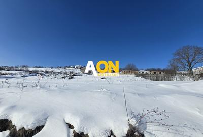 Teren Construcții intravilan de 1000 mp, în Cetate - 1