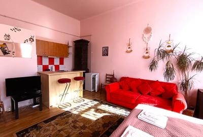 Apartament spatios cu 1 camera zona NTT / Pta Mihai Viteazul / Centru Apartament spatios cu 1 camera zona NTT / Pta Mihai Viteazul / Centru - 7