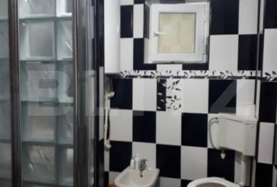 Casa cu piscina P+M, 458 mp teren, Leamna de Sus - 6