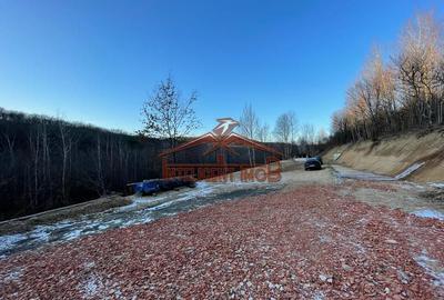 Teren intravilan Cisnadioara Judet Sibiu - 7