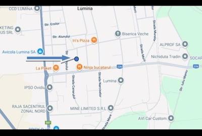 Teren Construcții intravilan de 3000 mp, în Lumina - 1