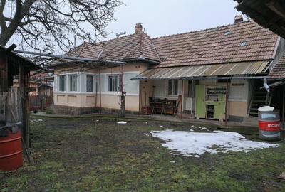 Casa de vanzare in Ibanesti - 2