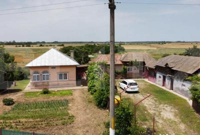 Casă cu 5 camere cu Teren 1400 Mp în Central