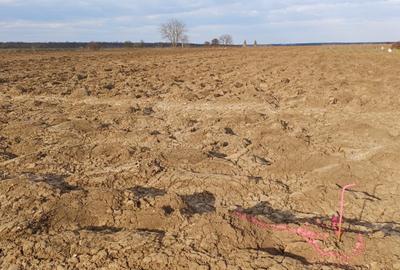 Teren agricol intravilan de 5093 mp, în Moara Vlăsiei - 3