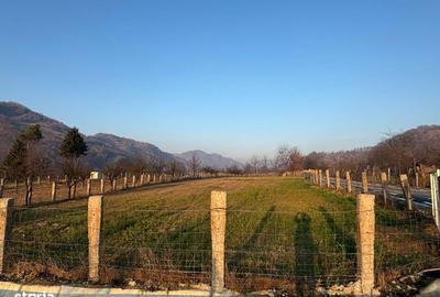 Teren de 3111 mp, în Feldru - 11