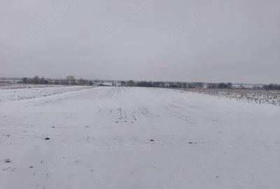 Teren de 6000 mp, în Horodnic - 2