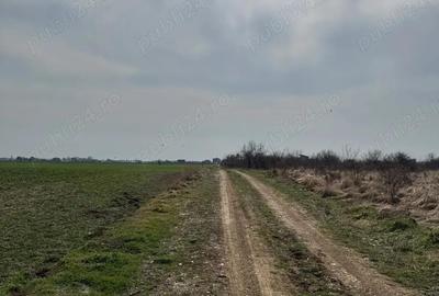 Teren de 20000 mp, în Valea Rumâneștilor - 2