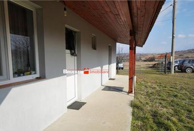 MICRO-FERMA CASA IN VOIVOZI - BIHOR - 20