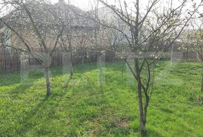 Casă individuală cu 2 camere cu Teren 8291 Mp în Iclod - 2