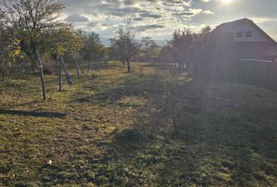 Teren de 1450 mp, în Valea Crișului - 1