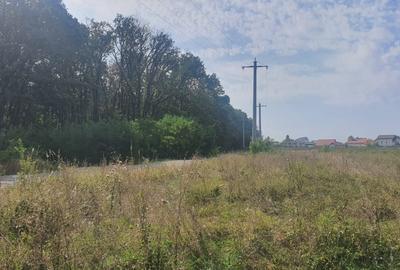 Teren Construcții intravilan de 1892 mp, în Corbeanca