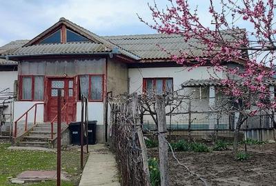 Casă cu Teren 1012 Mp în Băneasa - 2