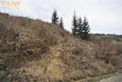 Teren intravilan strada Lempes - 1