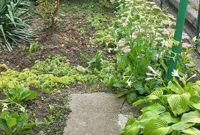 Apartament cu 2 camere semidecomandat în Central - 6