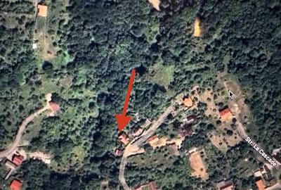 Casă cu Teren 2388 Mp în Fântânele - 10