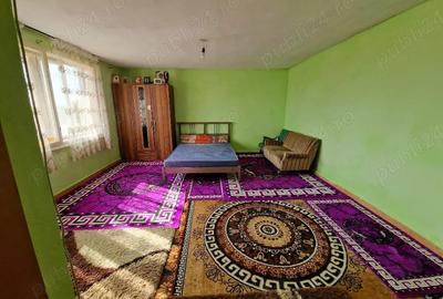 Casă cu 2 camere cu Teren 9100 Mp în Central - 4